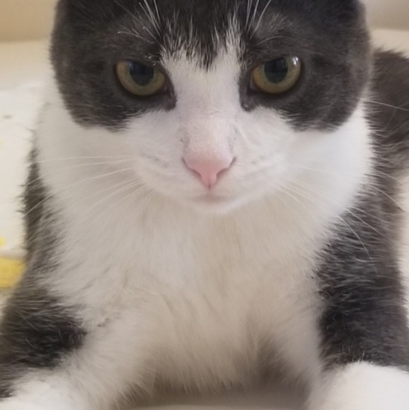 Meet your Posher, Magdalena - Picture 1 of 1